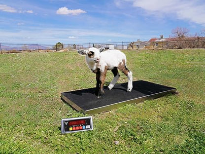 PEC Livestock Animal Scale/Farm Animal Scales for Weighing Small to Medium Sized Animals, Lamb, Goat, Sheep, Pigs, hogs, Donkey, Calf, Digital Indicator Included, Capacity 700lbs (44" x 22") - style: 44" x 22"