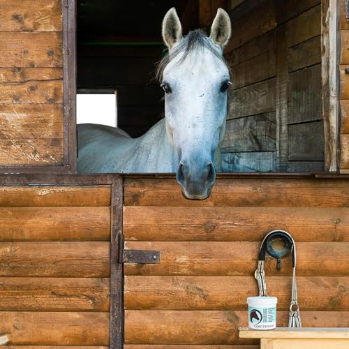 COAT DEFENSE Trouble Spot Drying Paste for Horses - Natural Equine Wound Care That Provides Safe & Effective Relief from Scratches, Sweet Itch, Summer Sores, Proud Flesh, Mud Fever, Girth Rot (24 Oz) - size: 1.5 Pound (Pack of 1)