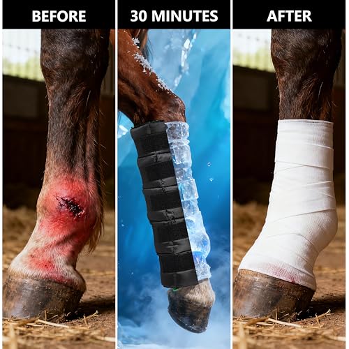 Reusable Gel Horse Ice Boots 2 Pack, Adjustable 5 Leg Cooling Wraps