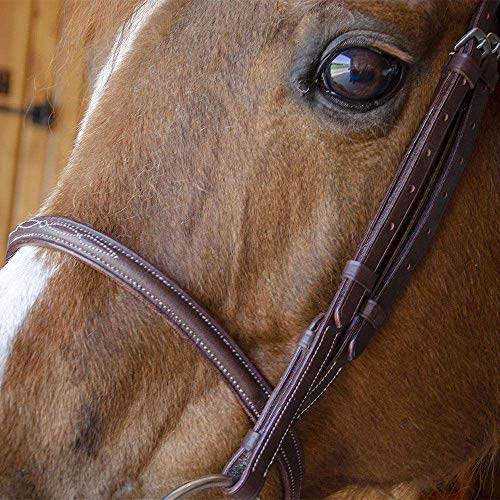 Everyday Raised Fancy Stitched Leather English Schooling Bridle with Laced Reins St. Steel Hardware with 1 Year Warranty. - color: Havana, size: Warmblood