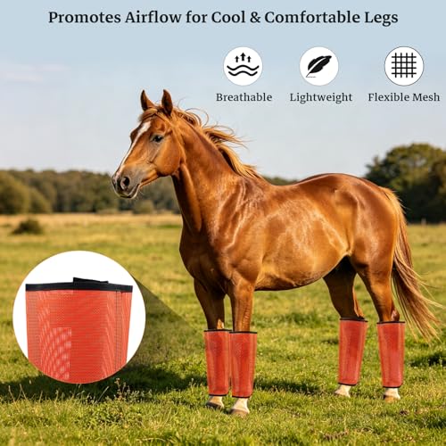 Mesh Horse Fly Boots, Set of 4, Orange - color: Orange