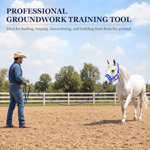 Abbylike Dually Style Horse Training Halter, Blue Bitless Pony Control Headcollar, Humane Pony Behavior Correction Tool for Leading, Training, Adjustable Equine Equipment - size: L,Warmblood