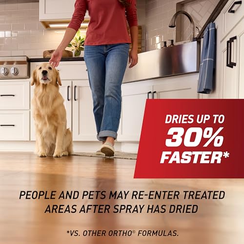 Ortho Home Defense Max Indoor Insect Barrier, 9 fl. oz. with Refill | Kills Ants, Roaches, Spiders, Fleas and Ticks, 360 Sprayer - color: Flairosol + Refill