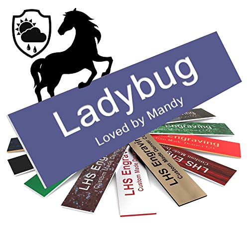 Horse Stall Name Plate, 2x6 Personalized Stall Signs, UV Protected, All Weather Adhesive, Hanging, Mounting or Other, Purple Plastic White Letters - Made in USA - B13 - color: B13 - Purple/White, size: 2in x 6in (5.1cm x 15.2cm)
