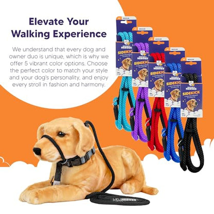 Heather's Heroes The Sidekick No-Pull Leash Black - color: Black, size: Mini (1/4")