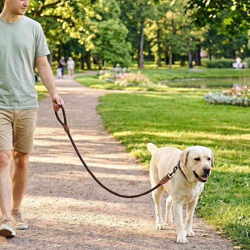 Mile High Life Dog Leash Braided Cotton Rope with Leather-Reinforced Ends - color: Dark Brown, size: 48 Inch-1/2"