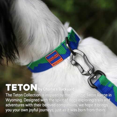 Charlie’s Backyard Teton Dog Collar, Urban to Trail Lightweight & Adjustable with Quick Release DURAFLEX Buckle, Durable D-Ring & All-Day Comfort, Sierra Dream, Small - color: Sierra Dream, size: Small
