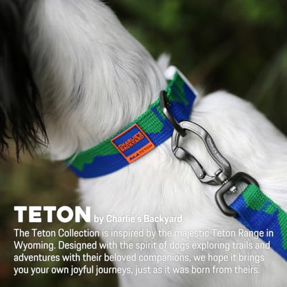 Charlie’s Backyard Teton Dog Collar, Urban to Trail Lightweight & Adjustable with Quick Release DURAFLEX Buckle, Durable D-Ring & All-Day Comfort, Sierra Dream, Small - color: Sierra Dream, size: Small