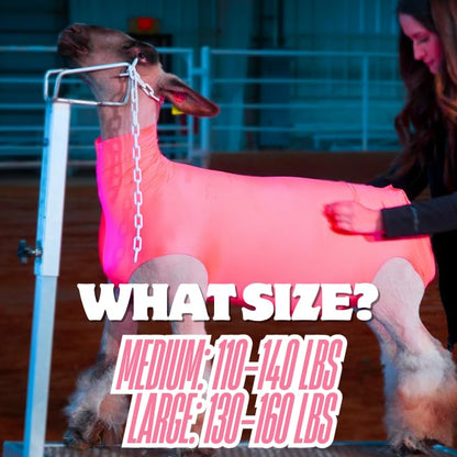 Show Pro Pink Spandex Lamb Tube for Show Sheep & Lamb - Show Livestock Supplies: Sheep Covers & Blankets (Medium) - size: Medium
