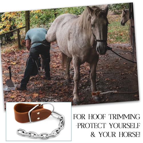 Horse Hobbles Kicking Chain, Leather Single Leg Hobble Heavy Duty Anti Kick Design, Stainless Steel Chain for Secure Horse Training & Grazing, for Stallions, Geldings, Mares