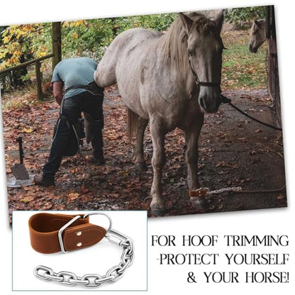 Horse Hobbles Kicking Chain, Leather Single Leg Hobble Heavy Duty Anti Kick Design, Stainless Steel Chain for Secure Horse Training & Grazing, for Stallions, Geldings, Mares