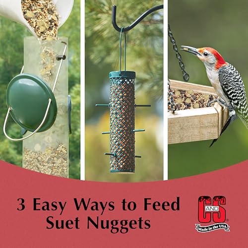 C&S Peanut Suet Nuggets, Bird Suet for Woodpeckers, 8 Pound (Pack of 1) - size: 8 Pound (Pack of 1)