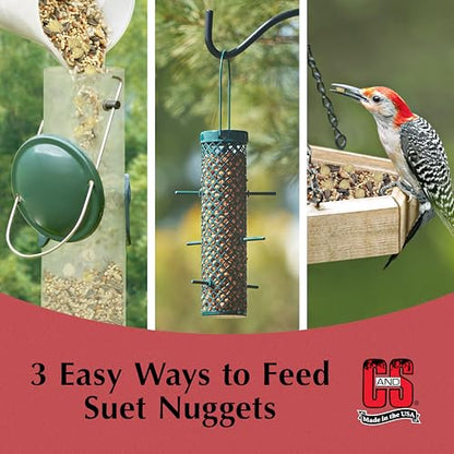 C&S Peanut Suet Nuggets, Bird Suet for Woodpeckers, 8 Pound (Pack of 1) - size: 8 Pound (Pack of 1)