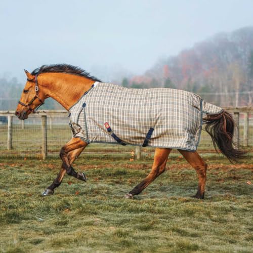 5/A Baker Heavy Weight Turnout Blanket 400 Gram 74 Inches - size: 74