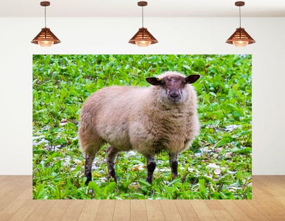 5x3ft Fabric Fluffy Wool Sheep Backdrop Brown Faced Ewe Fresh Green Farm Field Photography Background Tapestry Party Farm Decorations Photo Booth Props - size: 5x3ft