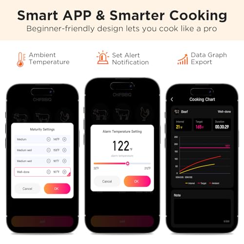 Newise Bluetooth Meat Thermometer with Smart APP, 800FT Wireless Range - size: 1 Probe