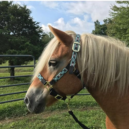 Tahoe Tack Patterned Nylon Adjustable Horse Halters with Padded Noseband and Matching 10’ Soft Grip Lead Rope