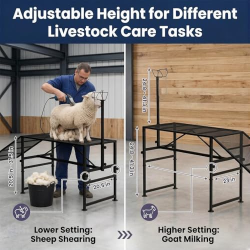 Goat Milking Stand, 900 lb Heavy Duty Iron Goat Stand with Collapsible Ramp and Height Adjustable 47"x23" Platform for Farm Barn Grooming and Daily Livestock Care