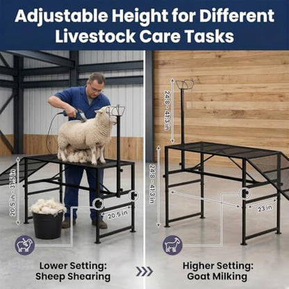 Goat Milking Stand, 900 lb Heavy Duty Iron Goat Stand with Collapsible Ramp and Height Adjustable 47"x23" Platform for Farm Barn Grooming and Daily Livestock Care