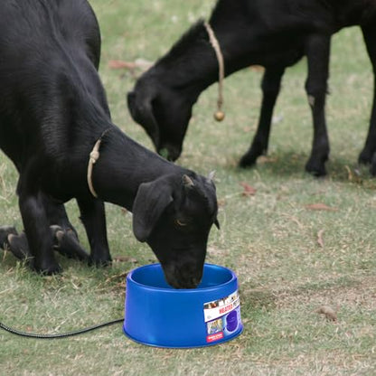Farm Innovators Premium Plastic Heated Pet Water Bowl, 60 Watts, Blue