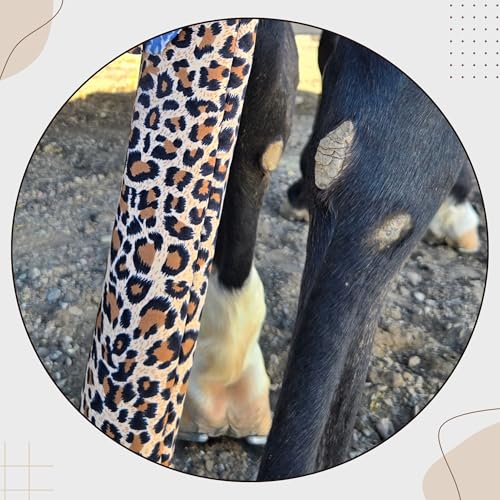 Ranch Hand Premium Lycra Tail Bag – Horse Tail Bag Made from Durable Stretchable Lycra – Gentle on Hair and Free from Damage – Horse Tail Protection Bag for Grooming – 24 Inches - Leopard - color: Leopard