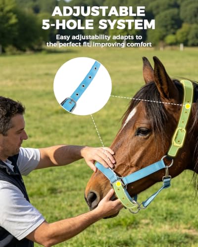 Hilltown Breakaway Halters for Horses with Leather Fuse | Adjustable Fit, Soft Rubber Padding, Quick Release Snap, and Easy Clean Webbing for Training and Stable Use - size: X-Full