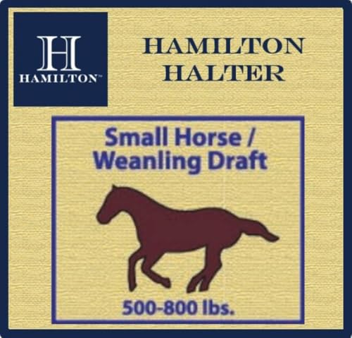 Hamilton Quality Horse Halter, 500-800 lbs, Red - color: Red, size: Small, 500-800lbs