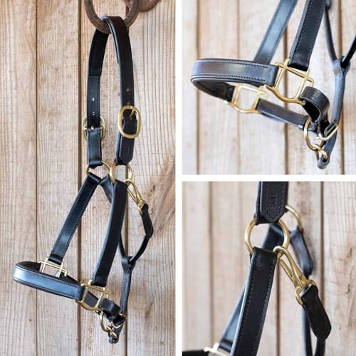 Jeffers Paris Padded Leather Horse Halter with Throat Snap, Adjustable Double Buckle Crown with Throat Snap, Triple Stitched Noseband for Cheek & Nose, Black - size: Full