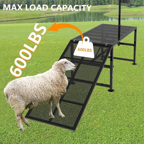 Goat Milking Stand Blue with Removable Feed Bin and Black Goat Ramp for Our Goat Stand 600 Lbs