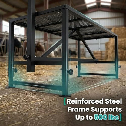 Heavy Duty Goat Grooming Stand, Height Adjustable Livestock Stand with Headlock for Sheep Goat Hoof Care