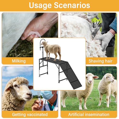 Goat Milking Stand with a Ramp, Metal Livestock Stand 45“ x 20" - size: 45" x 20" with Ramp