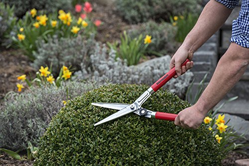 BERGER Topiary Shear 2510 with Beech Wood Handle Garden Shear with self-Sharpening Blades, Length 45 cm - size: 46.5x14.5x5 cm