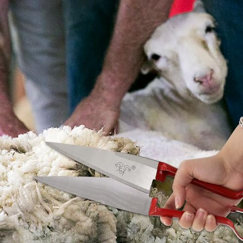 Hand Shears For Sheep Shearing, 6.1-Inch Carbon Steel Bladel Sheep Shears | Classic Style，Manual Livestock Grooming Shears for Sheep, Goat, Alpaca, Rabbit, Horse, Dog – One-Handed Lightweight Portable - style: red handle