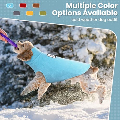 DENTRUN Reversible Dog Winter Coat, Windproof Polar Fleece Reflective Vest - color: Blue, size: Small