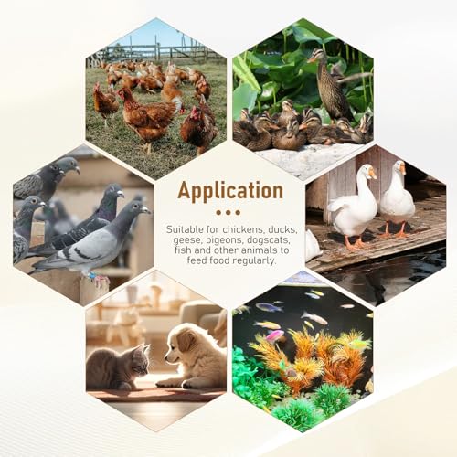 Automatic Chicken Feeder with Timer, Duck Feeder