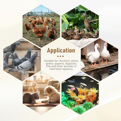 Automatic Chicken Feeder with Timer, Duck Feeder