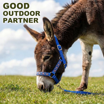 1 Set Mini Donkey Halter with Lead Rope Adjust, Blue - color: blue