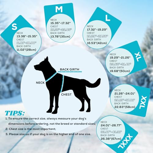 EMUST Dog Winter Coat, Waterproof Fleece Dog Jacket Winter for Small Dogs - color: Turquoise, size: Small