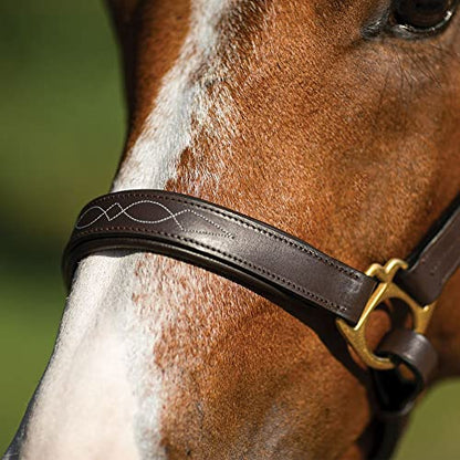 Schneiders Premier Dorchester Padded Leather Halter for Horses | Fancy Stitch Detailing | Soft Buffalo Leather | Padded for Comfort - size: Thoroughbred