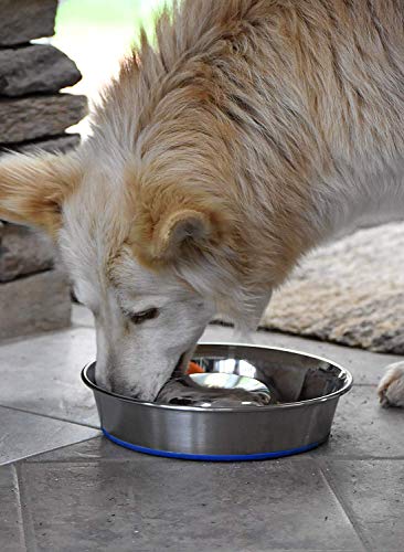 OurPet's DuraPet Slow Feed Stainless Steel Dog Bowl, Silver, Large - size: Large (6 Cups)