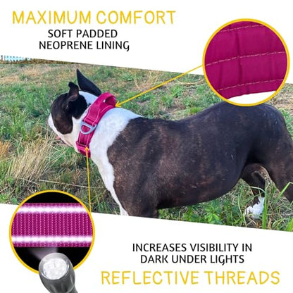ADITYNA Heavy Duty Magenta Dog Collar for Medium Dogs with Traffic Handle - color: Magenta, size: Medium: Fit 15-19" Neck
