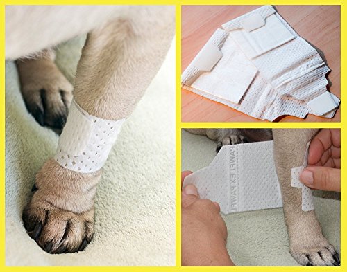 PawFlex Basic Leg Bandages for Dogs, Cats and Other Pets First Aid Non-Adhesive Fur Friendly - Value 16 Pack (Standard,& Wide) (Medium) - size: Medium 16-Pack