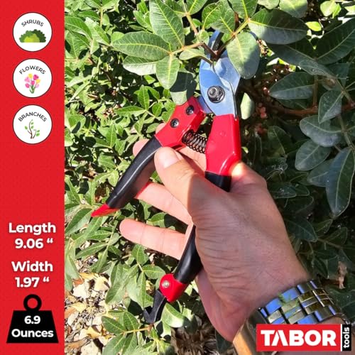 TABOR TOOLS S821A Bypass Pruning Shears for Small to Medium Hands, Chrome Plated Blades with 3/4 Inch Cut Capacity, Professional Hand Pruner, Garden Secateurs & Clippers with Safety Lock - style: Bypass