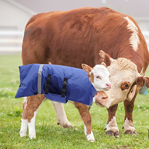 POPETPOP Calf Jacket Waterproof Windproof Winter Coat Livestock Warming Coat for Calves Easy Buckle Fit Warm Apparel for Cold Wet Pastures 42.51 X 33.46 in