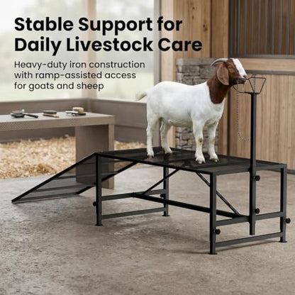 47"L Heavy Duty Goat Milking Stand with Detachable Ramp, 500lbs Capacity Sheep Trimming Station, Professional Livestock Grooming Platform with 4-Level Adjustable Headlock for Hoof Care