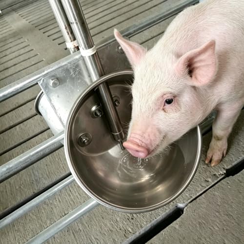 Pig Waterer Automatic Hog Waterer with 1/2" NPT(F) Thread | Heavy Duty Stainless Steel Livestock Water Trough for Swine Hog Pigs Sows, 8.3 Inches in Diameter, Large