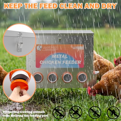 85 Pounds Automatic Chicken Feeder 6 Ports Large Gravity Fed Chicken Feeder with Adjustable Legs Perspective Window Latch & Handle for Chickens Bantams Pheasants - size: 6 Ports - 85-120 LBS with Legs
