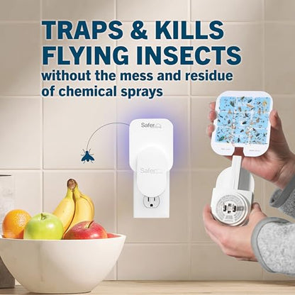 Safer Home Flying Insect Trap, Plug-in Fruit Fly Trap for Indoors, 2-Pack - size: 2 Traps + 2 Glue Cards