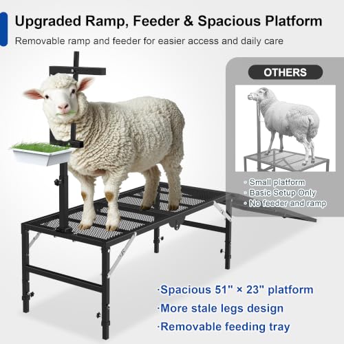 Foldable Goat Stand with Removable Ramp, 51x23" Livestock Trimming Stand with Feed Tray, Metal Goat Sheep Stand 500lbs Capacity for Trimming Shearing Milking Hoof with Adjustable Headpiece & Height