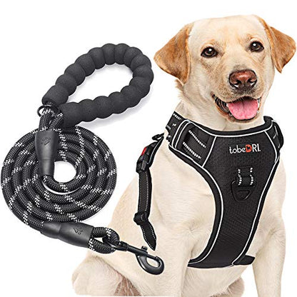 tobeDRI No Pull Dog Harness Adjustable Reflective Oxford Easy Control Medium Large Dog Harness with A Free Heavy Duty 5ft Dog Leash, Black, XL - color: Black, size: X-Large